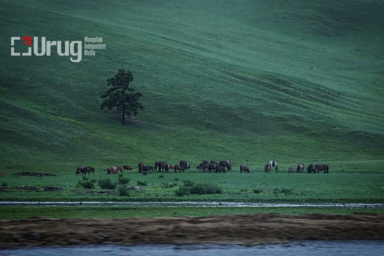 61f8b3cdb44bb3e68b736419552eb278