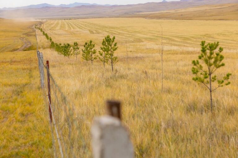 6358755c392d5701c181991a