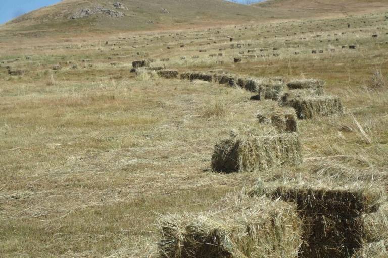 638839bfdb7c060adf5aac93