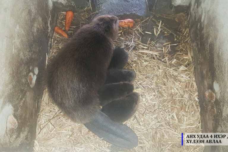 6cdd5f_image001_x974_xWQtlX8