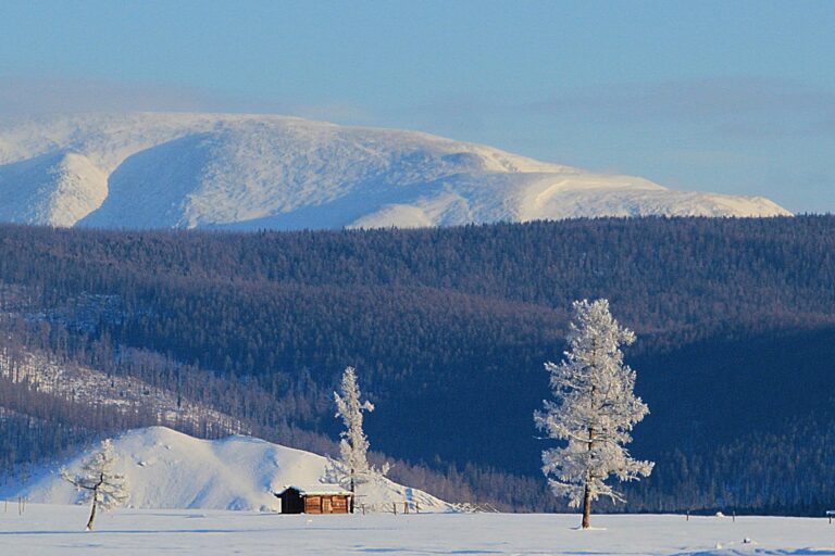 71796525_484996609013858_5139147876852563968_o