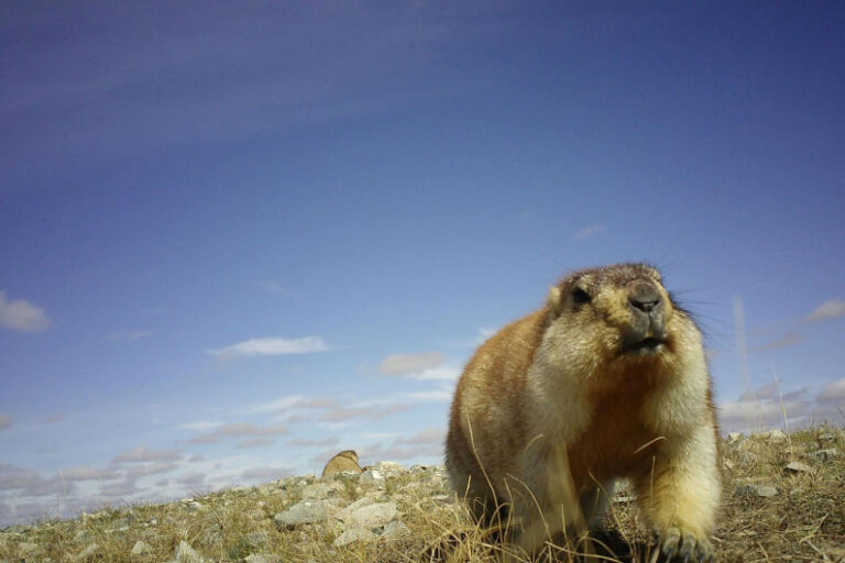 794773F8-4B3A-446D-B9FF-24144F6F302E