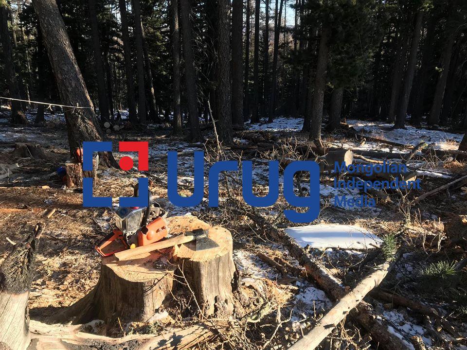 83864274_103910021170180_5717716964177084416_o