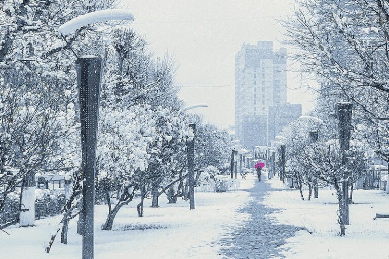 954df34063ae488e97fba0bc5182f120