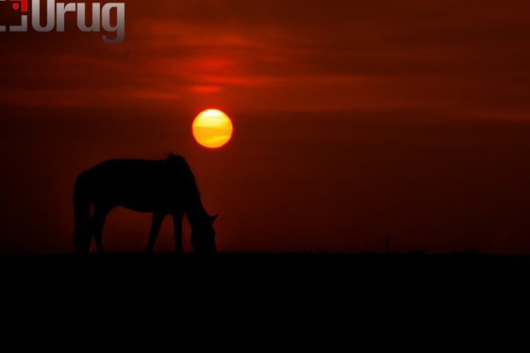 A9EE479F-F108-4898-B358-C6F7B5821668