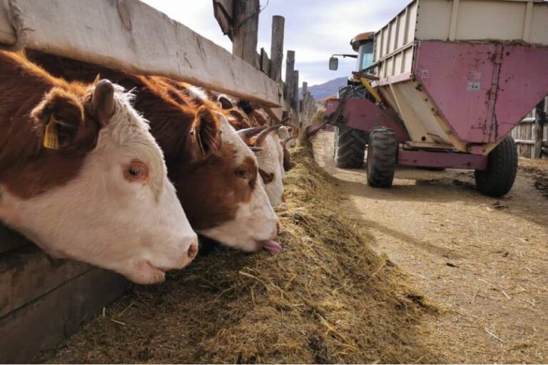 CBC11B27-8410-4167-8F57-535B2468E70D