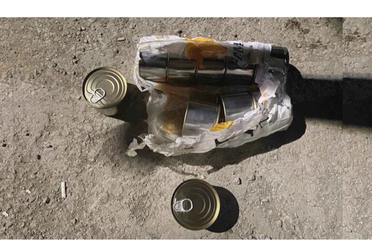 D1C3CFD5-3173-4A1D-A897-E0860336B18F