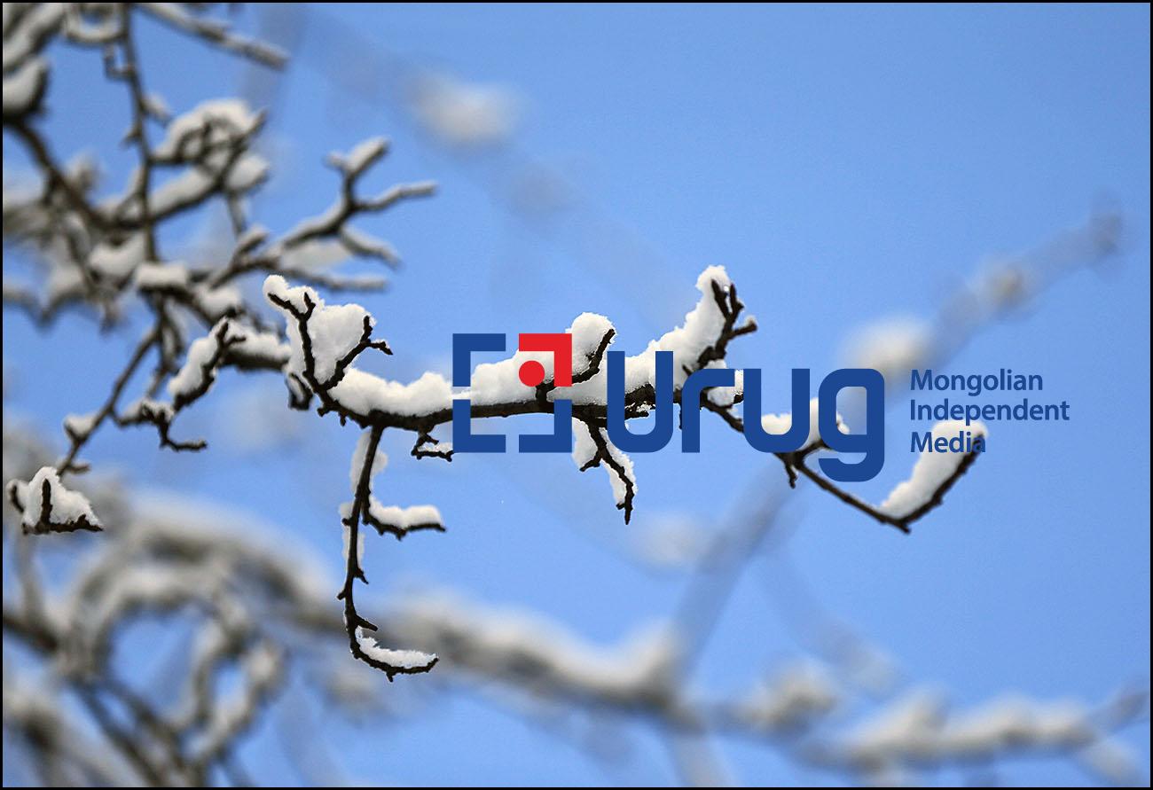 LOCAL #EVERYDAYAPHOTO