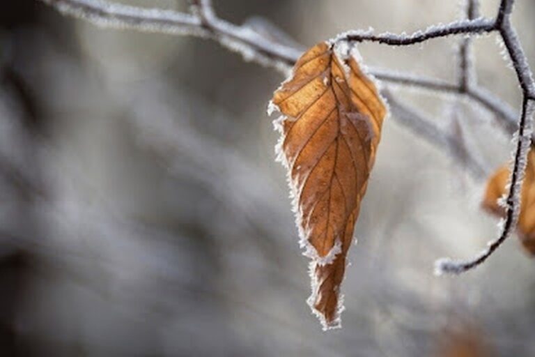 a195494024dbe9ee103553b3d9c12c0a