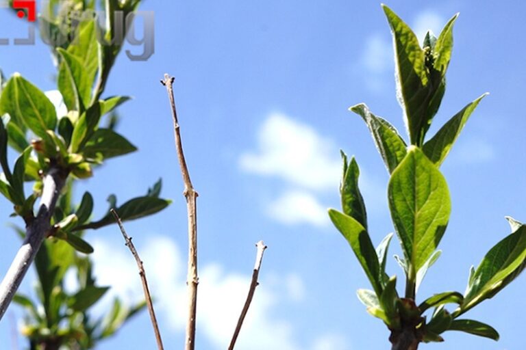 b870f2f488f513222bdc590f7bf544cc