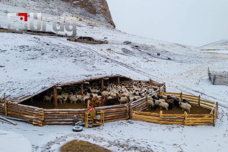 b9bf3a5472e3ccfa7340acb94bd7d563