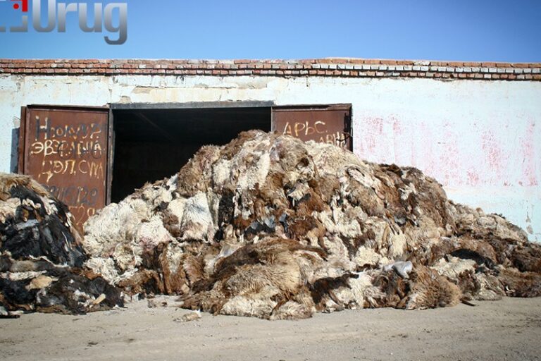 c0977c5c77f4cd5133a2a7d5a59999c0