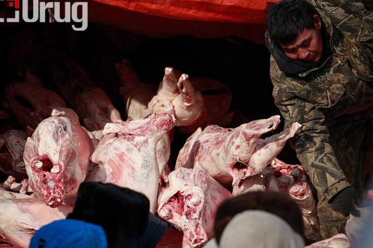 c43ad8a2411bafa0815cc9e98588b57c