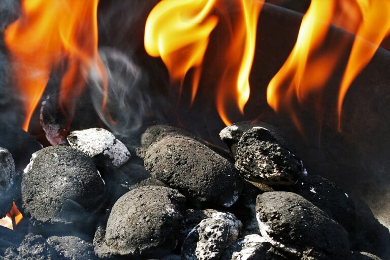 charcoal-fire-1796300_960_720