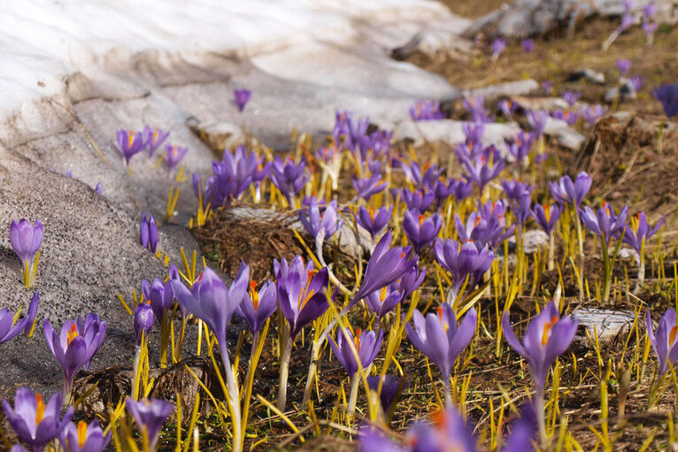 d19172_ALX-gallery-45_x974