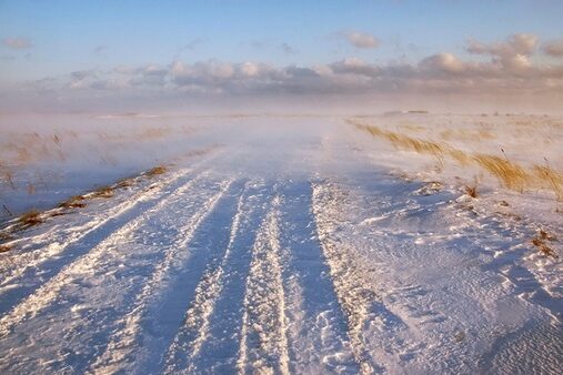 d94caa6f03e003f7b1770f6194e3041c