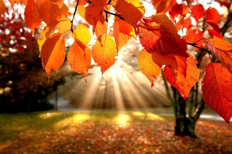 e6963f3b4607387eb58ad72e39f04c51