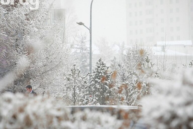 ef40ec8e9cd50305cf5edb687c9ef145_1