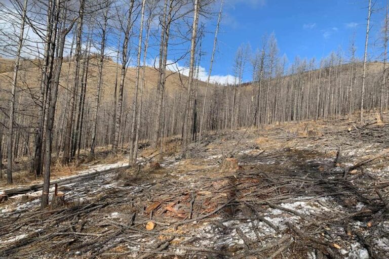 g6ggkr_245966499_4287058298058194_6564715582268609447_n_x974