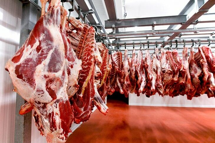 govyadina_optom-730×500