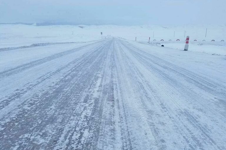 gyhi1e_261406860_262894975864499_7281483791532110688_n_x974