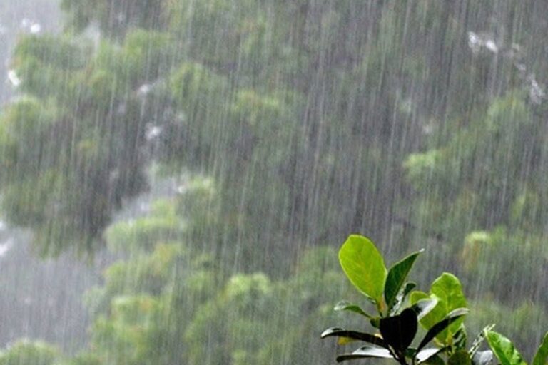 inbound6159030039504371057