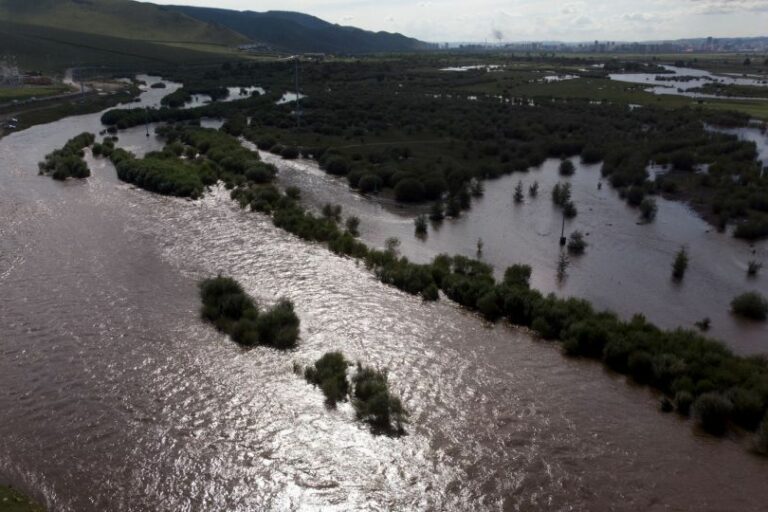 inbound6991186968521972718