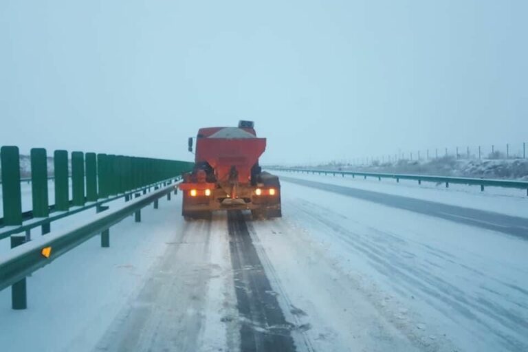 lzdl7v_265596411_4805700306135037_7514474280839095228_n_x974