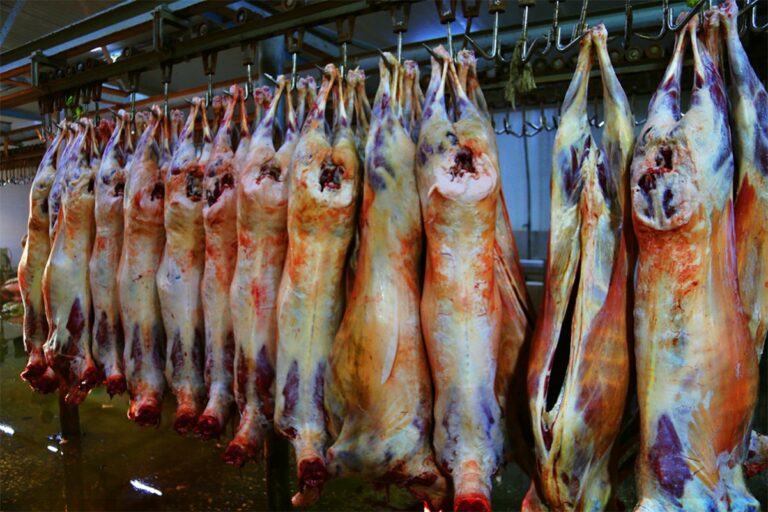 new_c1283b0a63042fe5f6d7d977d67cc4e37bffac2e