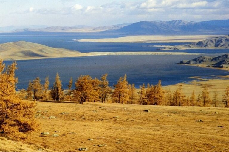 olloo_mn_1506559341_nam