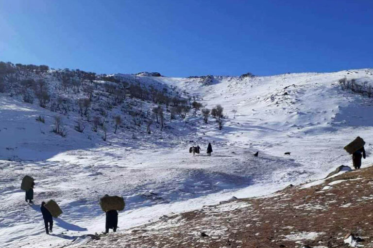 ovs-222351-302915696