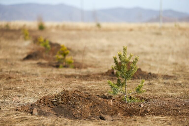 quqt3j_imported_image_x974