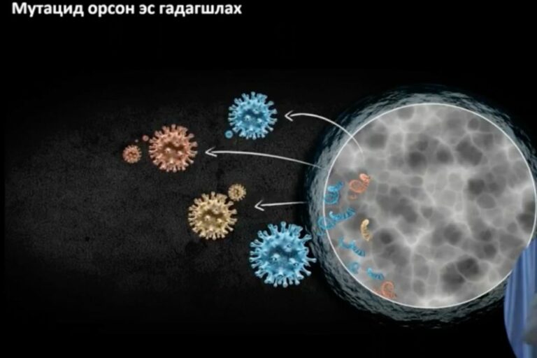 skoli6_Screen_Shot_2021-05-13_at_11_53.53_AM_x974