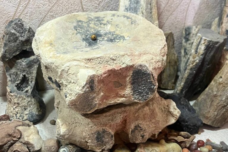 wor8z8_342221920_269933535385509_2384636761697381111_n_x974