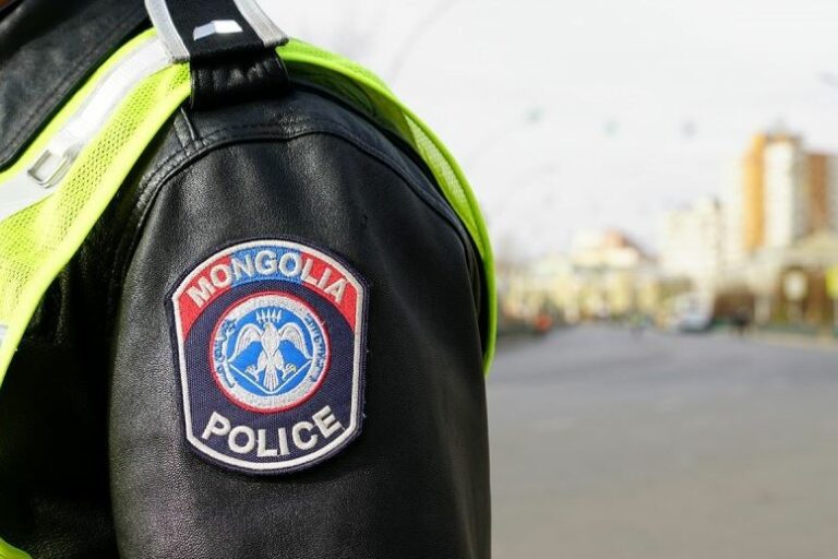 Замын_цагдаа