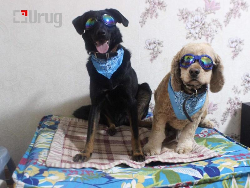 98a5430750c9d8872ec9ae3b786cc565