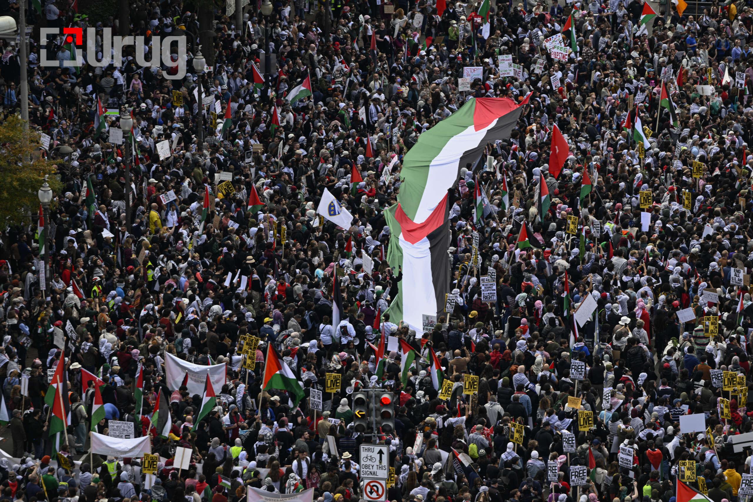 u.s protest palestine
