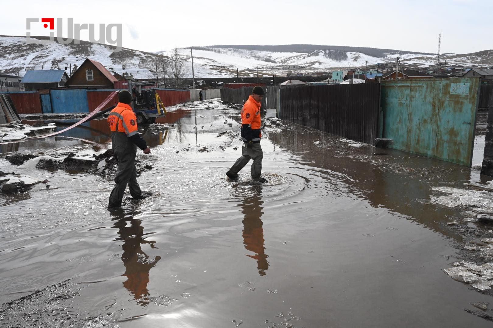 uyeriin ersdeltei bus