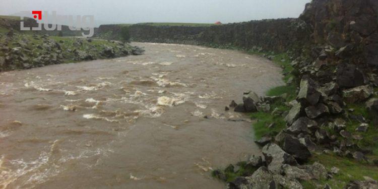 goluudiin usnii tuvshin