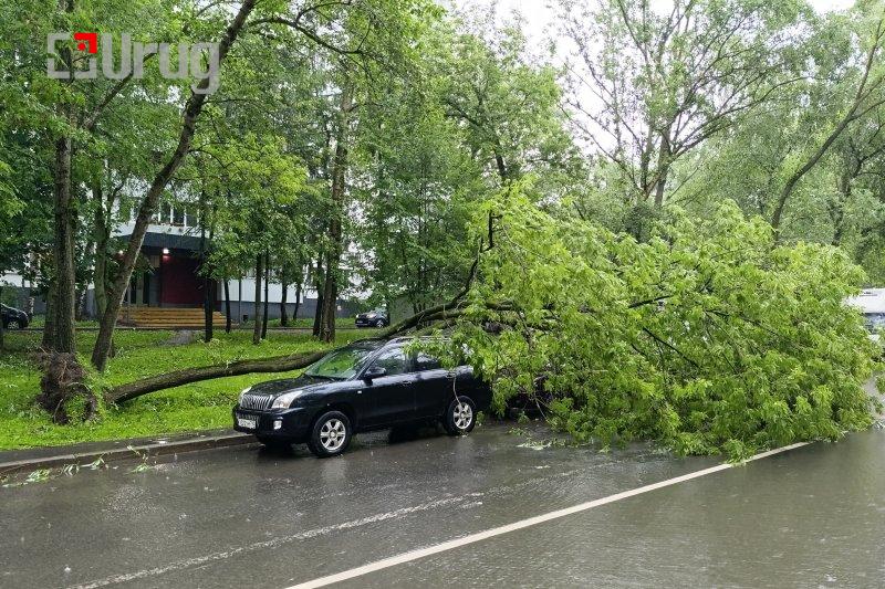 img_20240620_135337_d6a