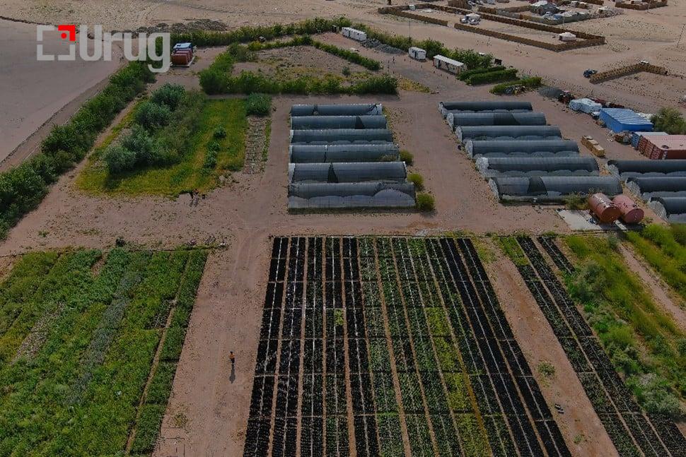 oyu tolgoi mod nuuts