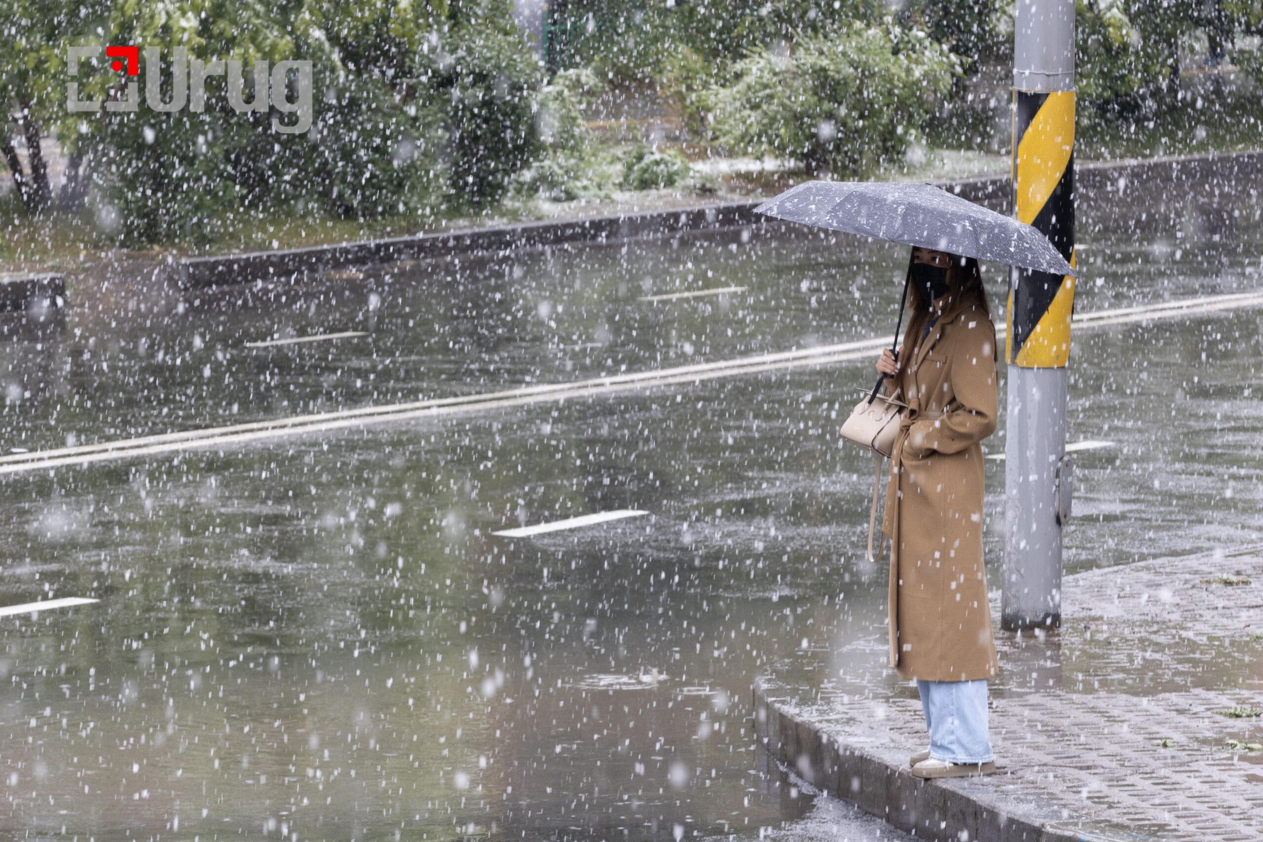 tsasan boroo ba uzesgelent busgui 2