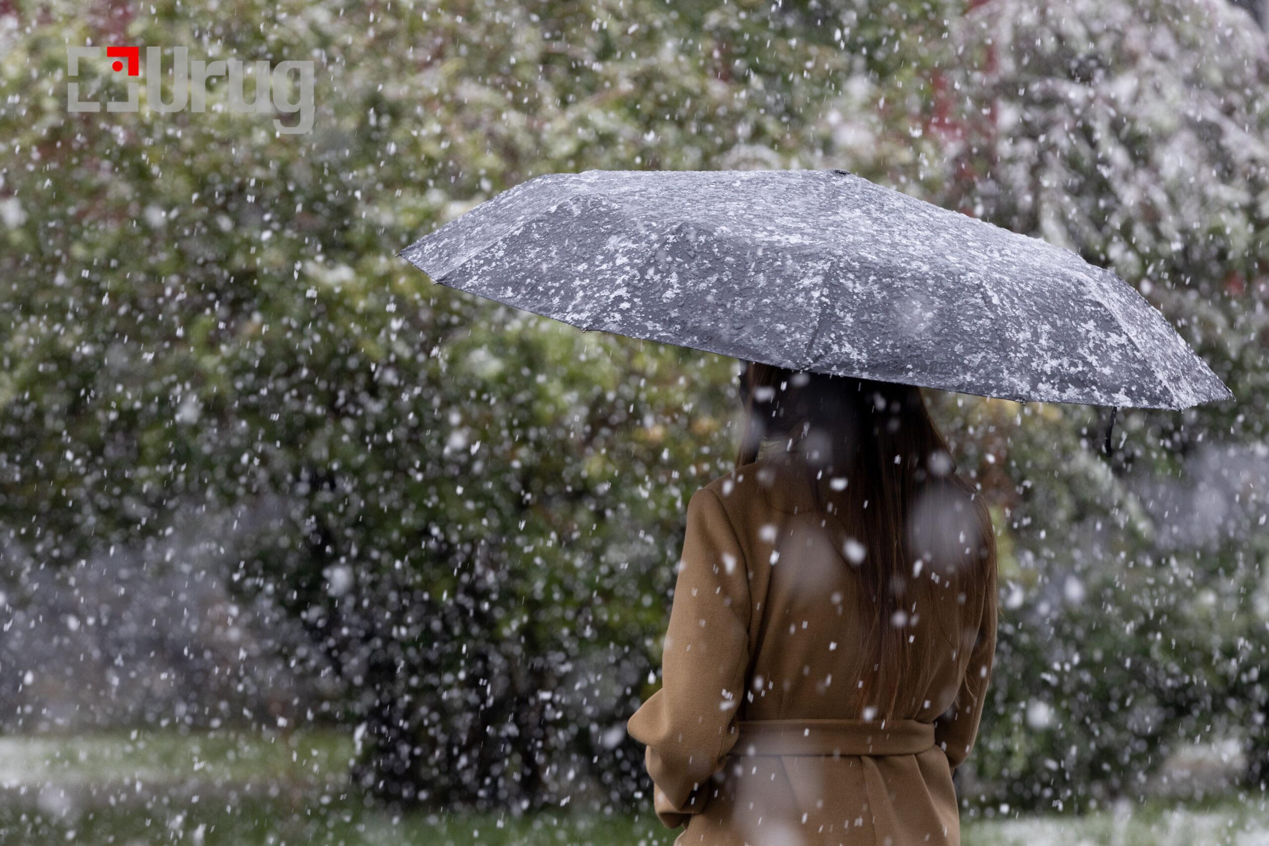 tsasan boroo ba uzesgelent busgui 3