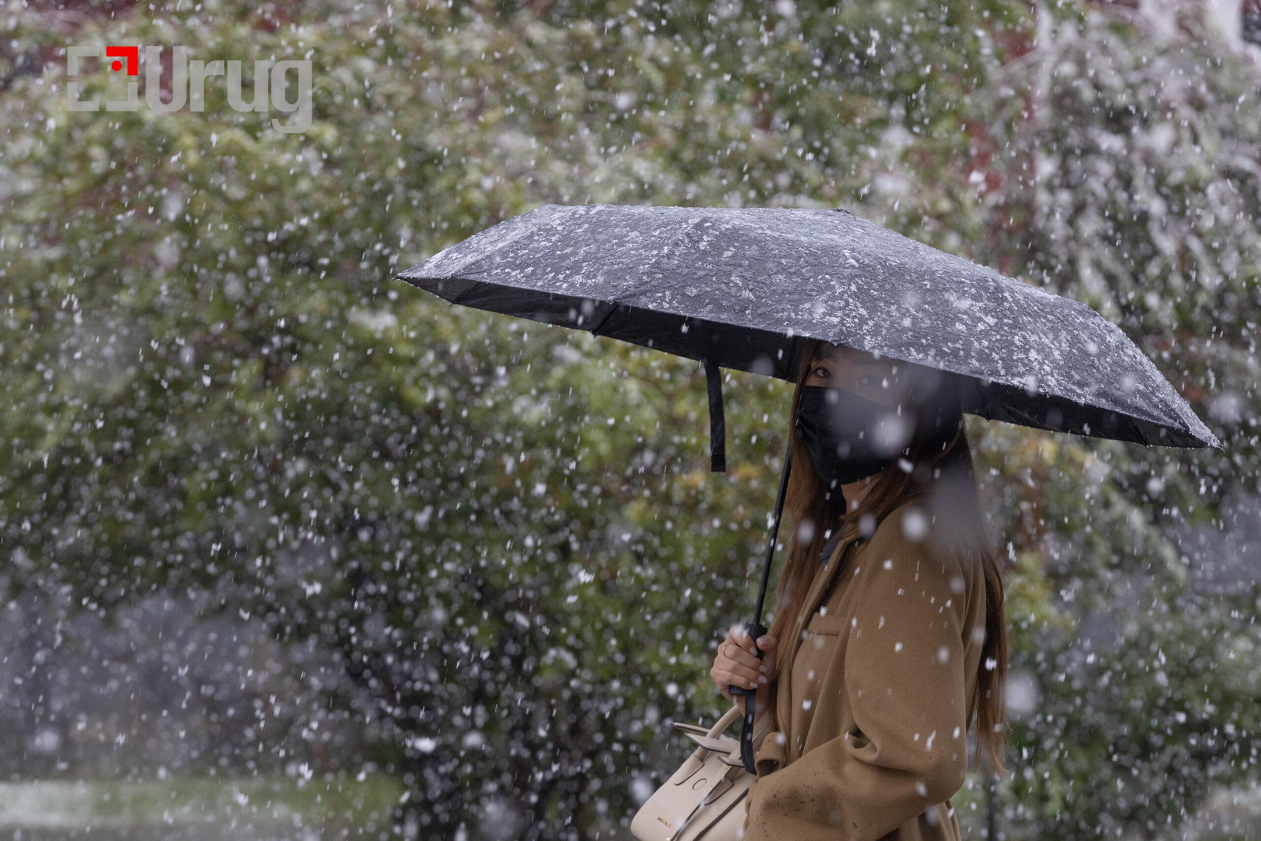 tsasan boroo ba uzesgelent busgui