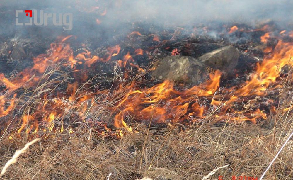 -03072024-1719974399-1550808296-tuimer