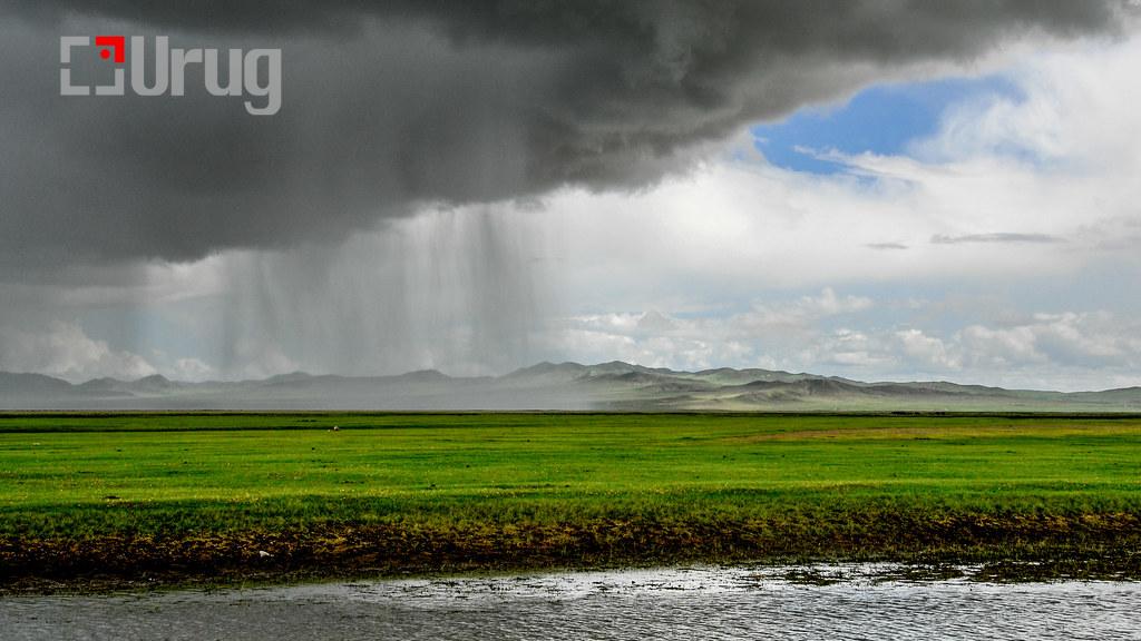 Copyright Bernd Thaller