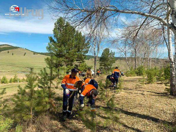 terbum mod tumur zam