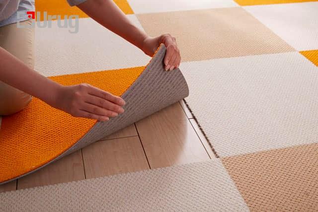 426102292_890548363080793_8517698978518373083_n