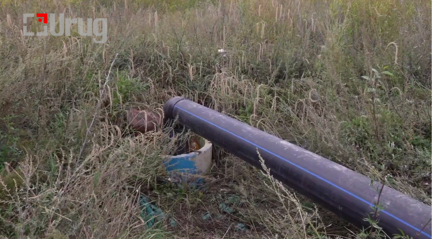 66c466861ad23e72dd9a981b