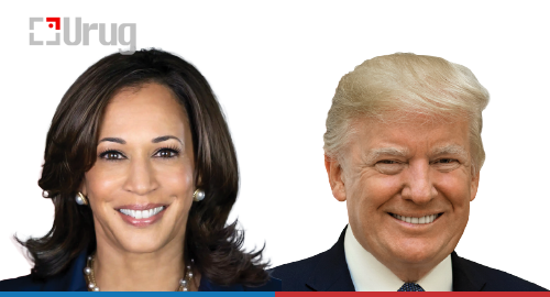 trump-harris-poll